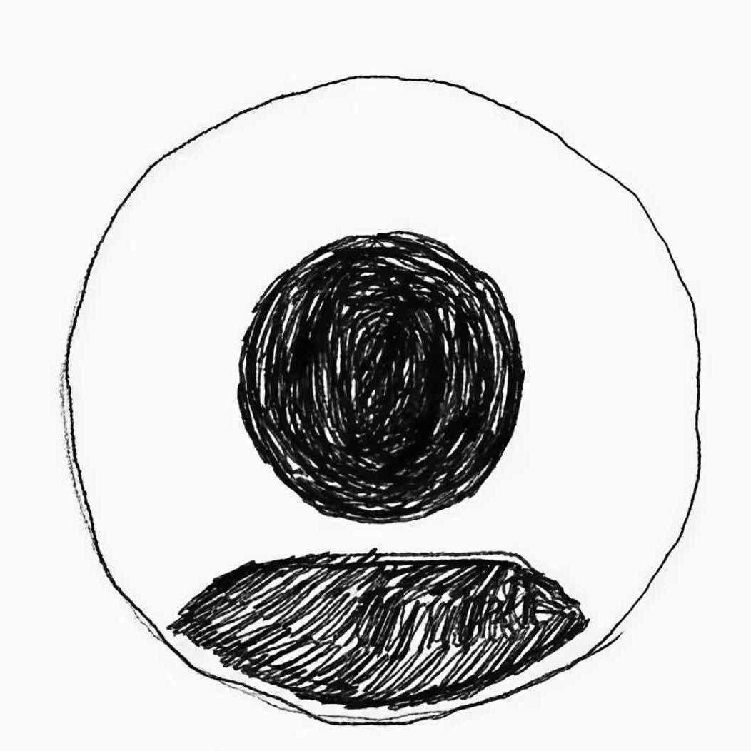 66