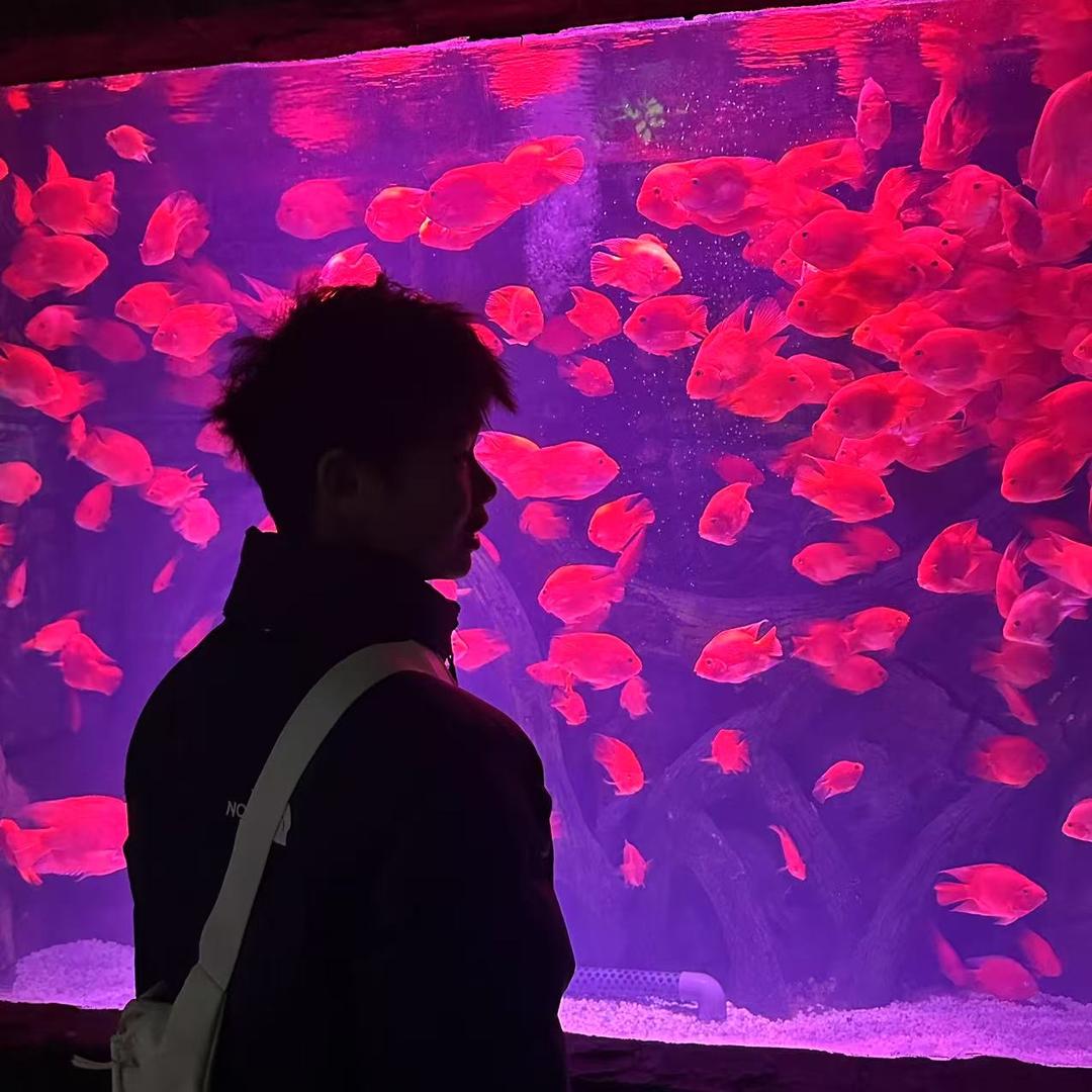 一心向阳