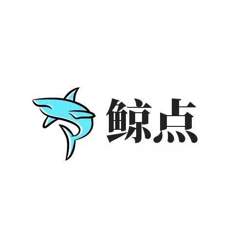 鲸点服务商