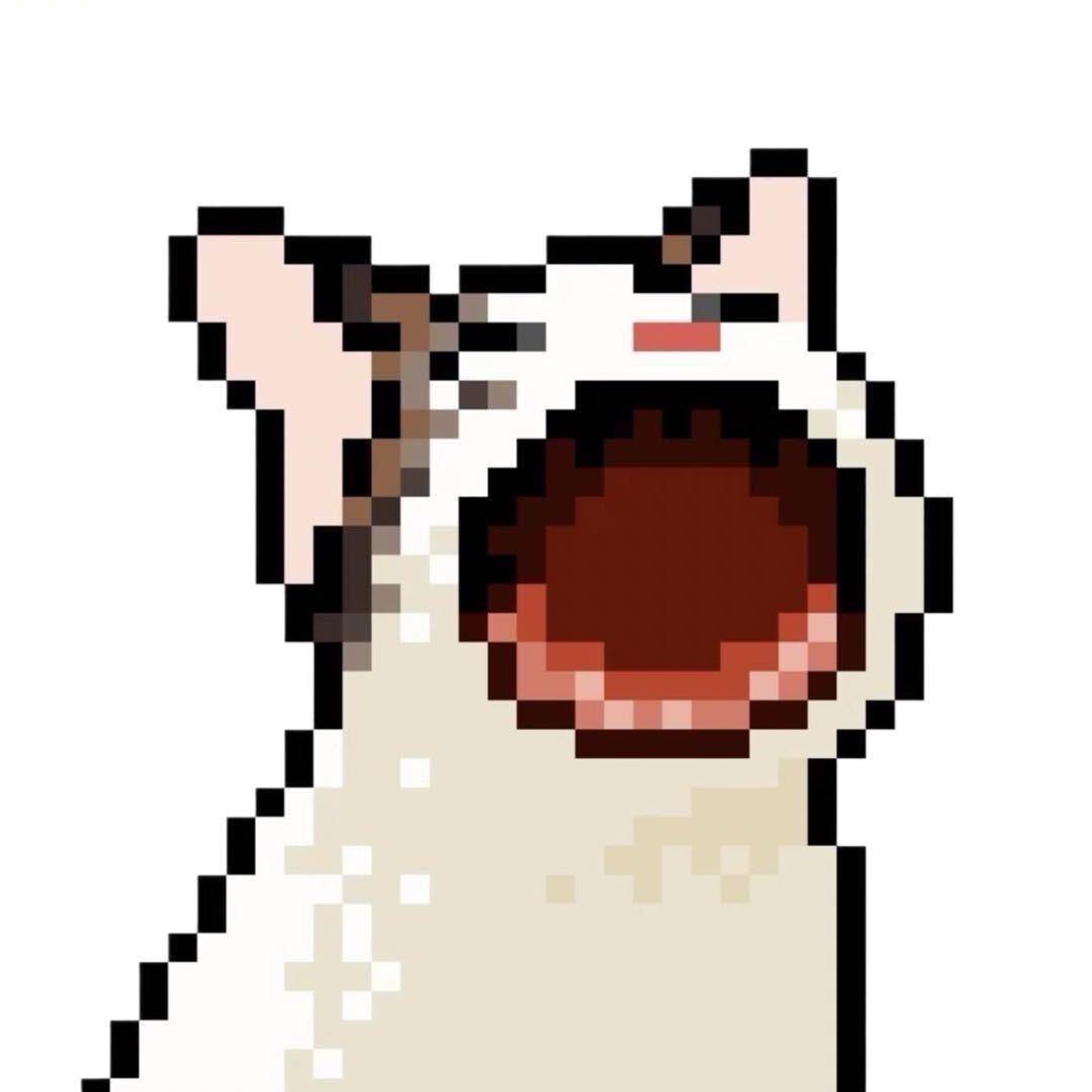 爱吃秋葵的张嗷嗷同学