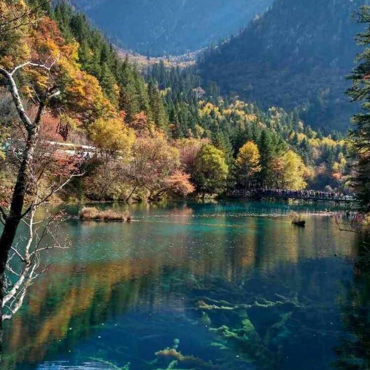 羲原