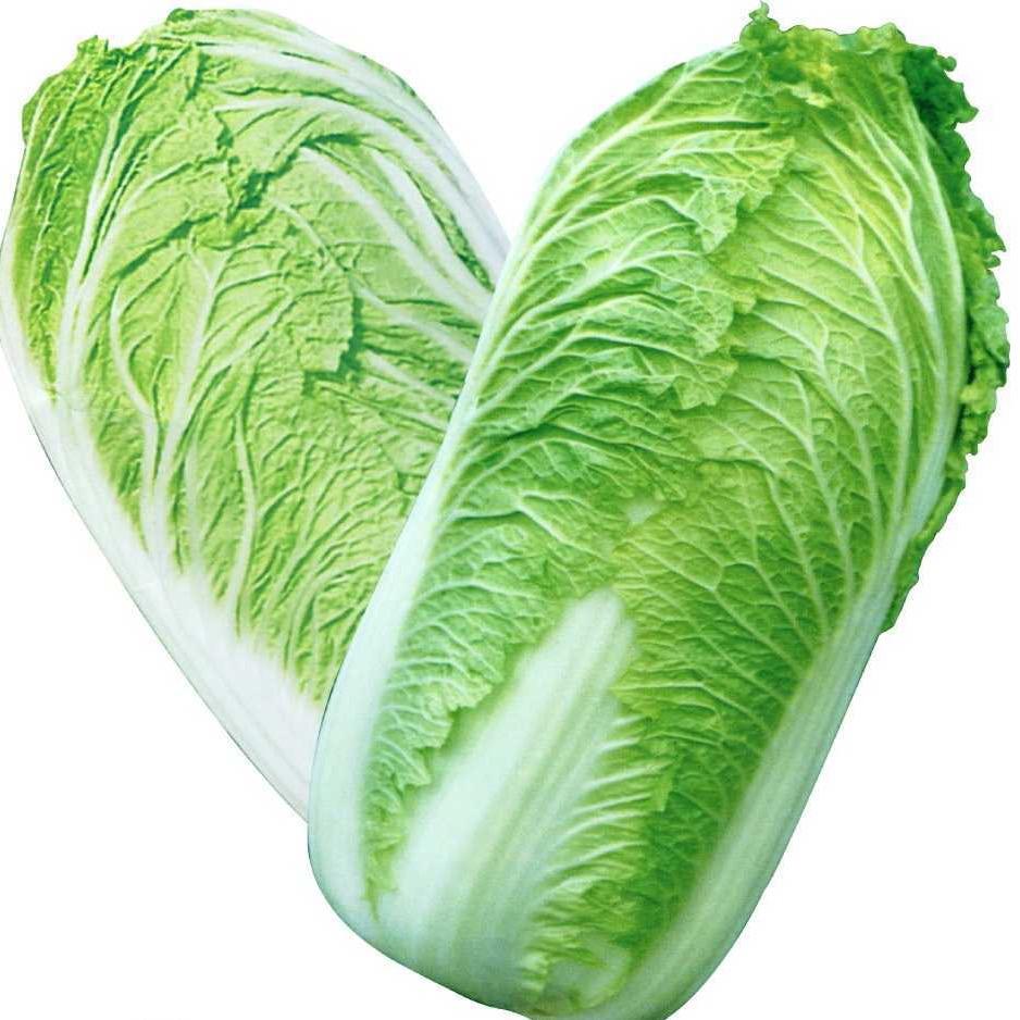 白菜强子