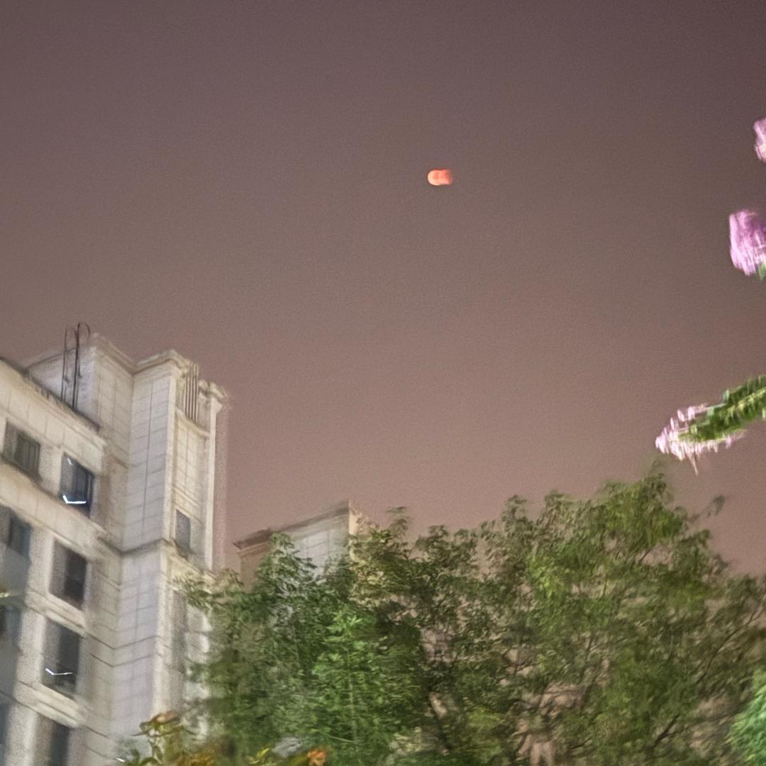 春不晚