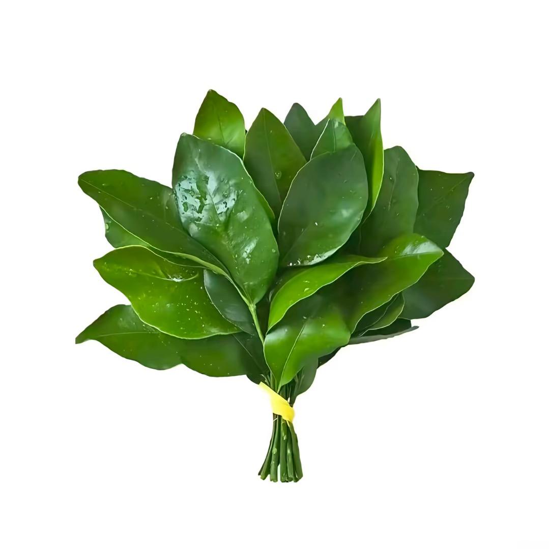 竹子竹