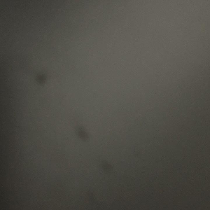 Ww-