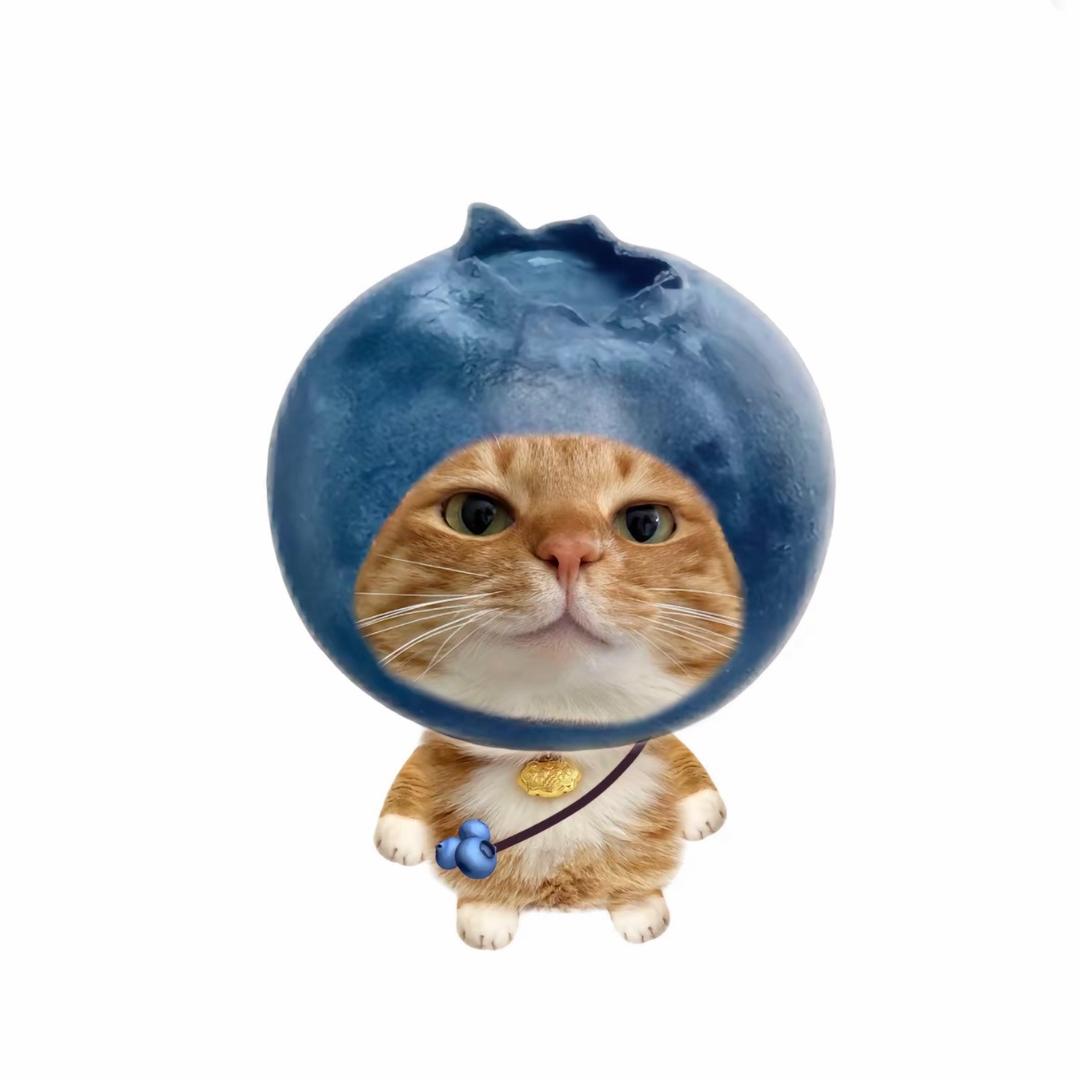 kwonllll（见过王嘉尔版