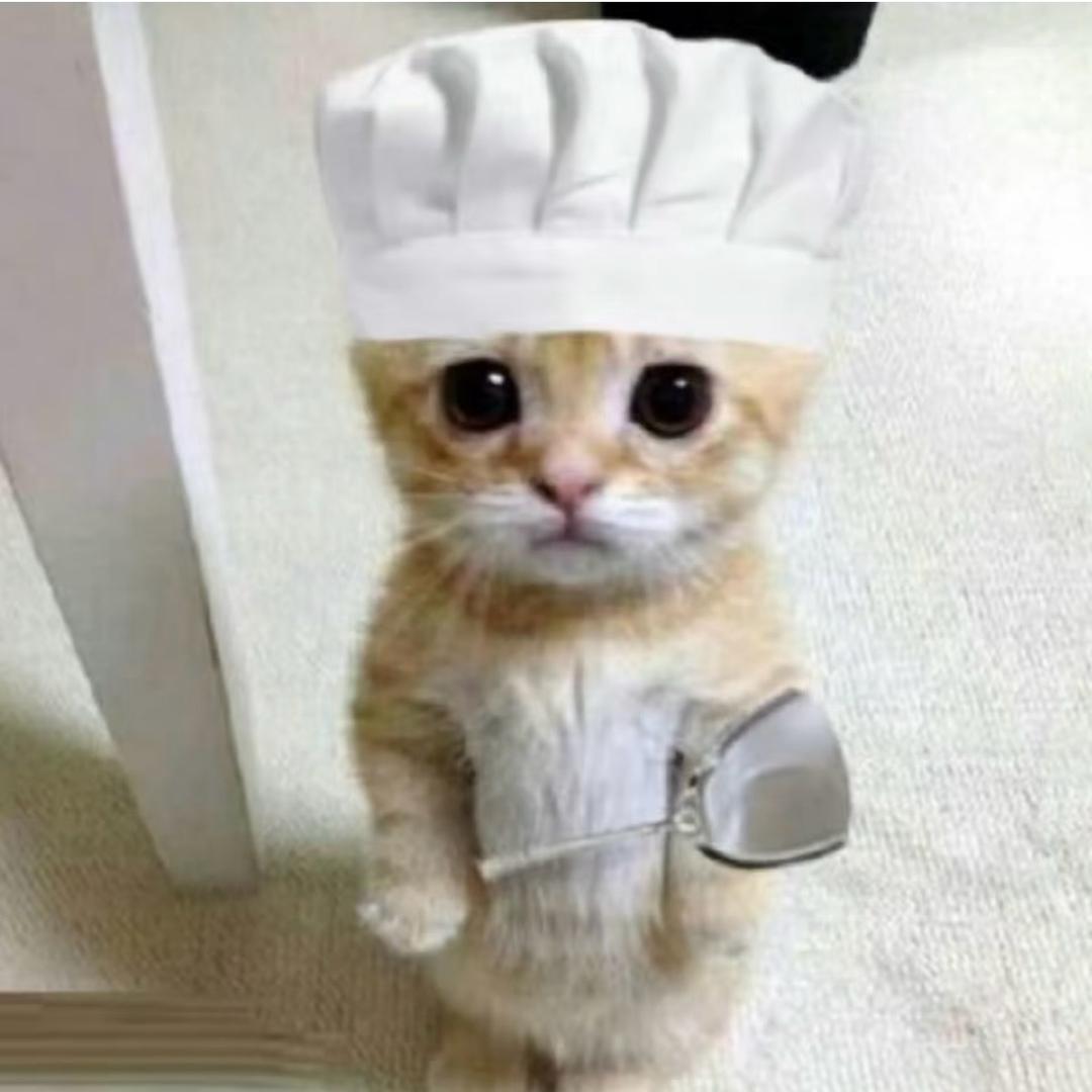 给女朋友做饭的米其拉