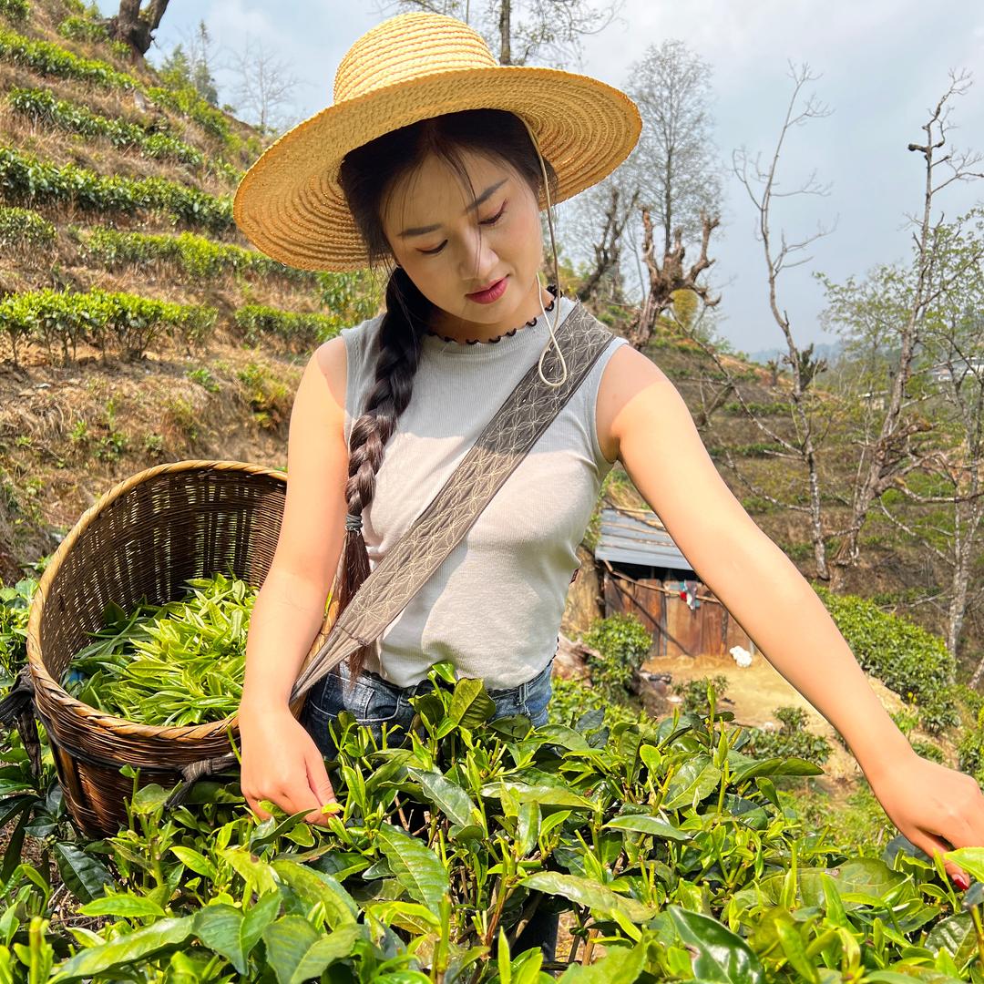 爱美的双双