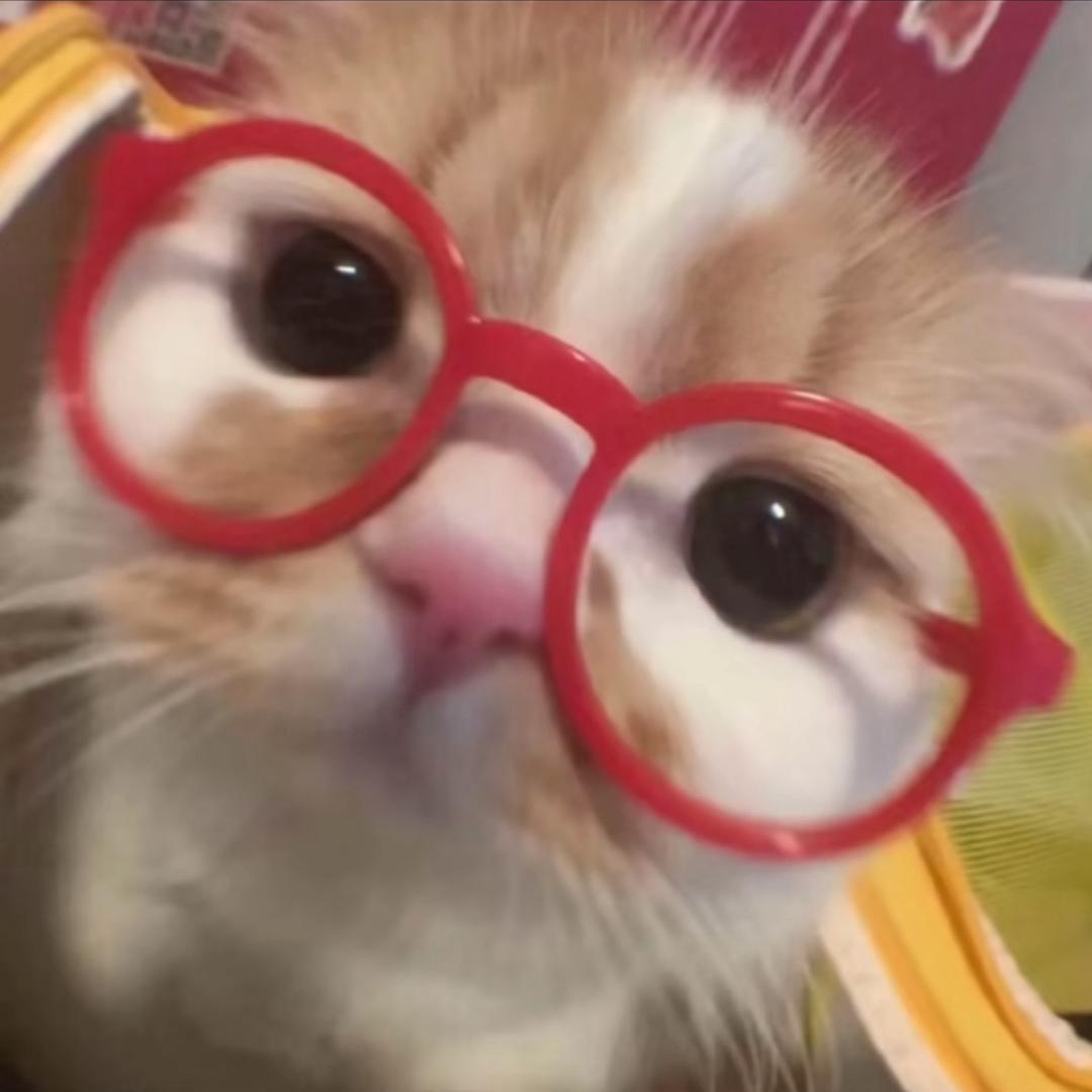 爱火鸡面ʸᵃ