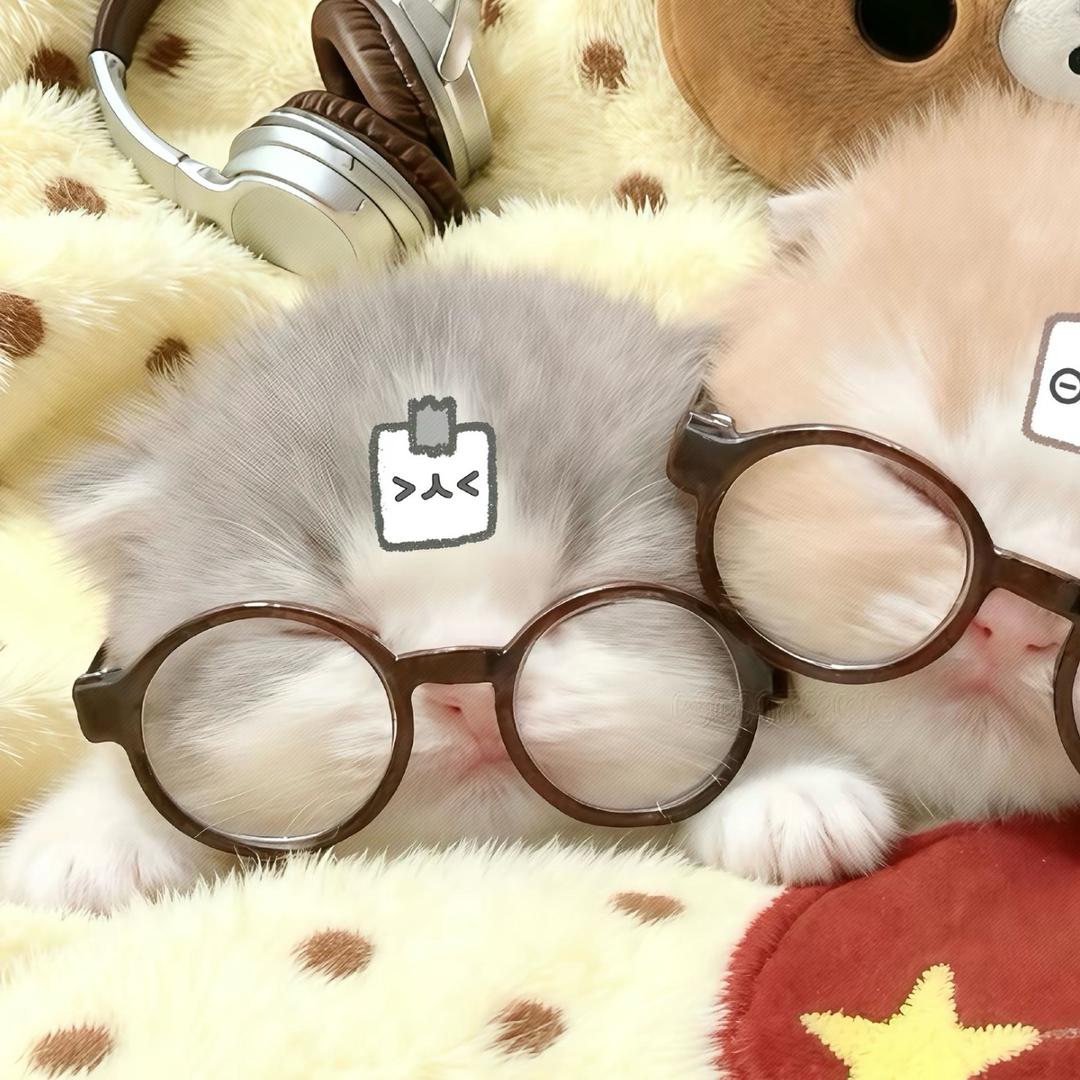 劉庆泽