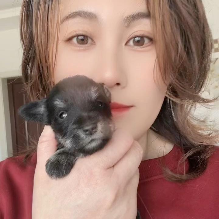唯美造型柞村工业园