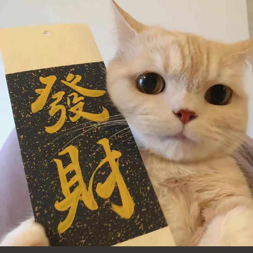 发财🐱