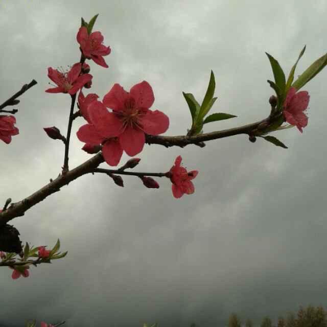 杨帆起航