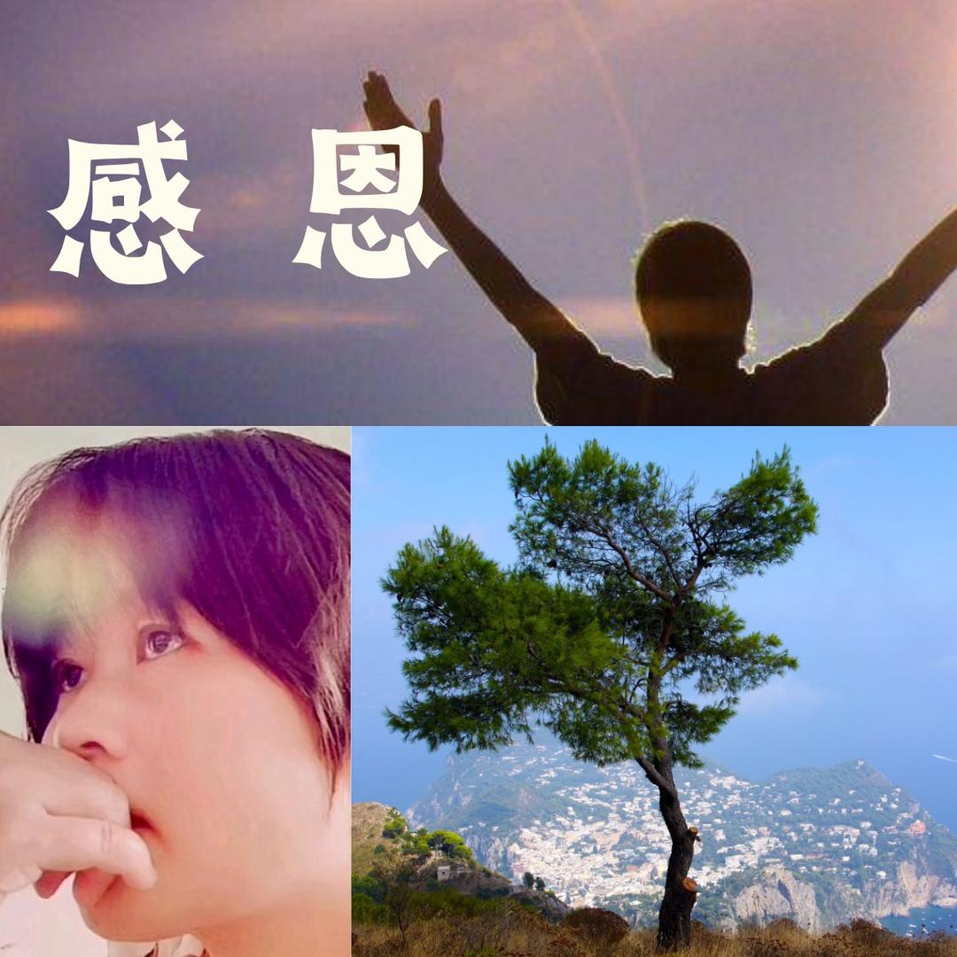 发光的叶子