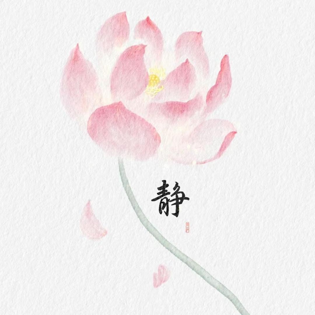 一霖师姐