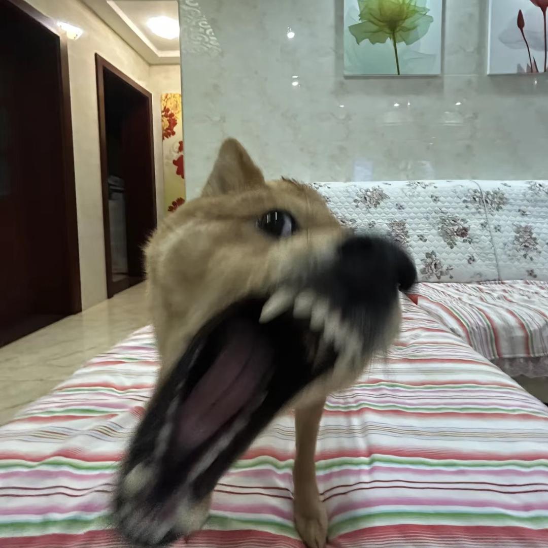 心归海