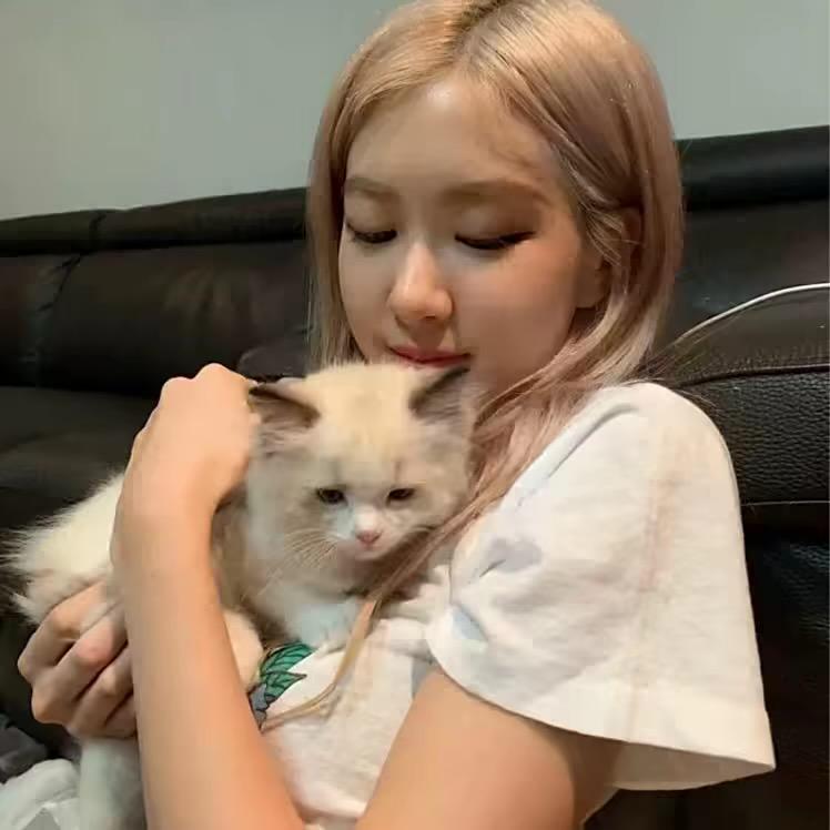 狂妄的海南人