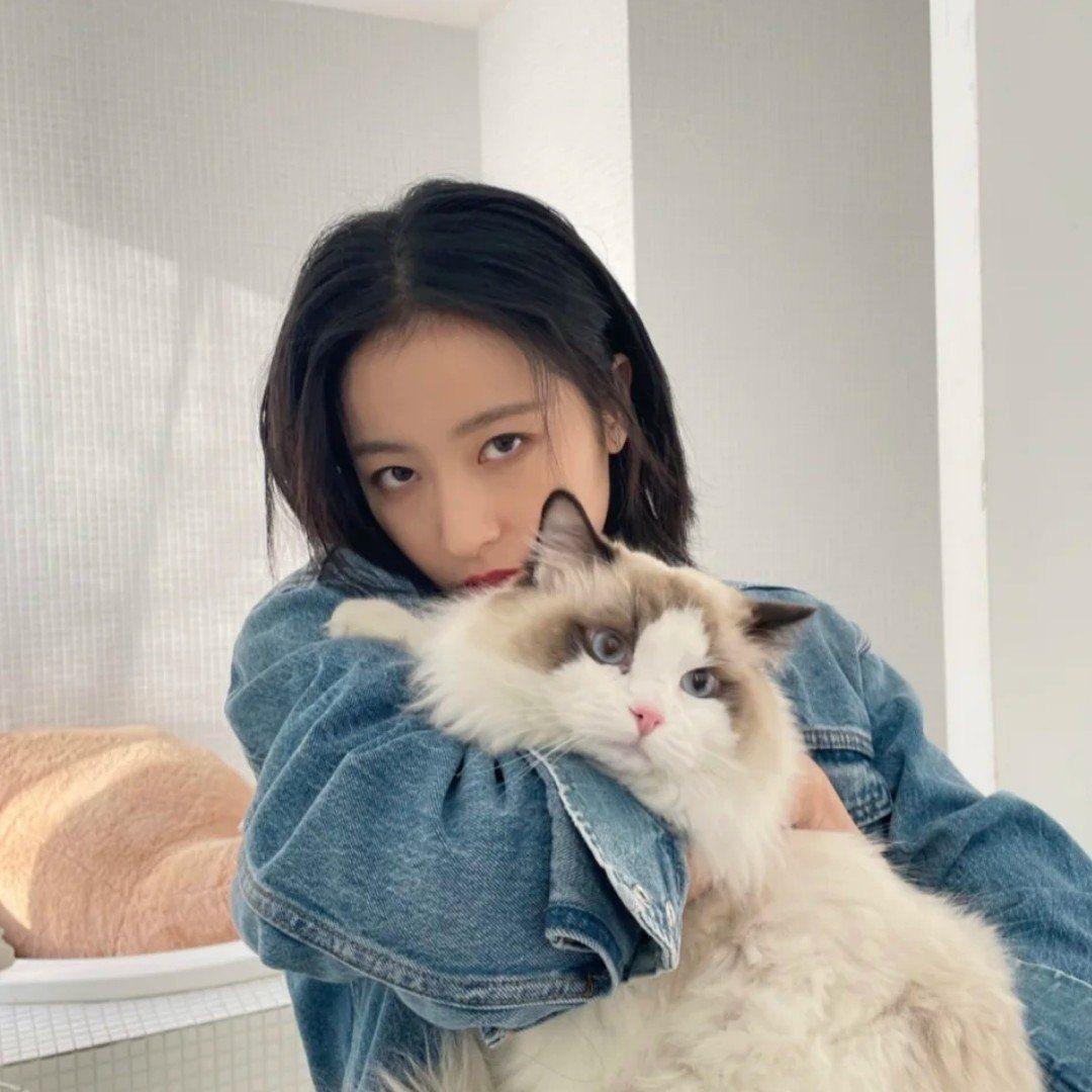 猪窈呗
