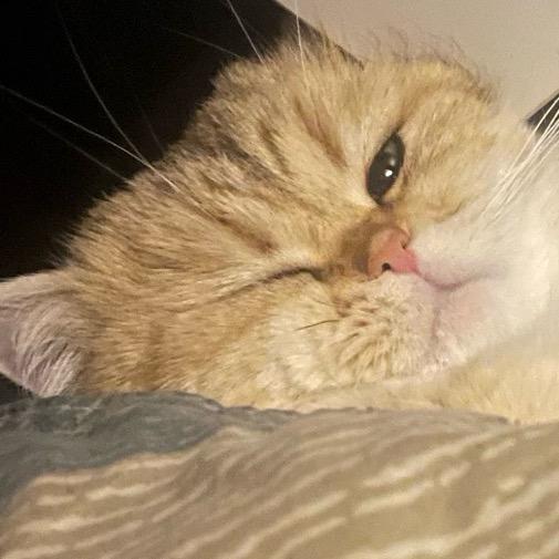 高地鼓手（坚定的多头版）