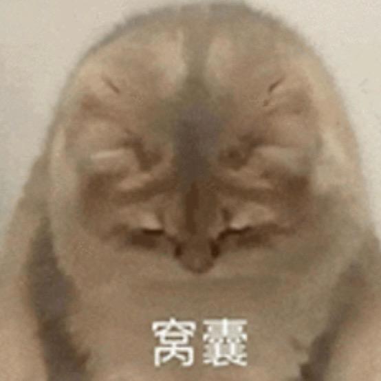没事就爱听点御姐音，骗你的，有事我也听