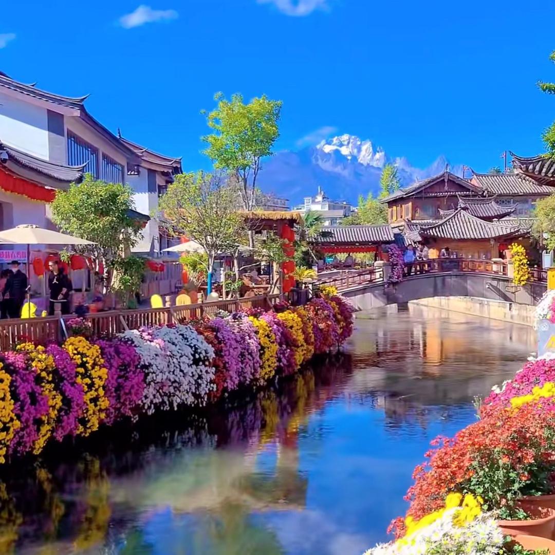 荟旅咨询【云南本地游玩】