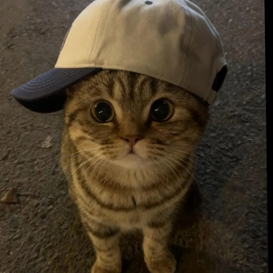 我叫小研