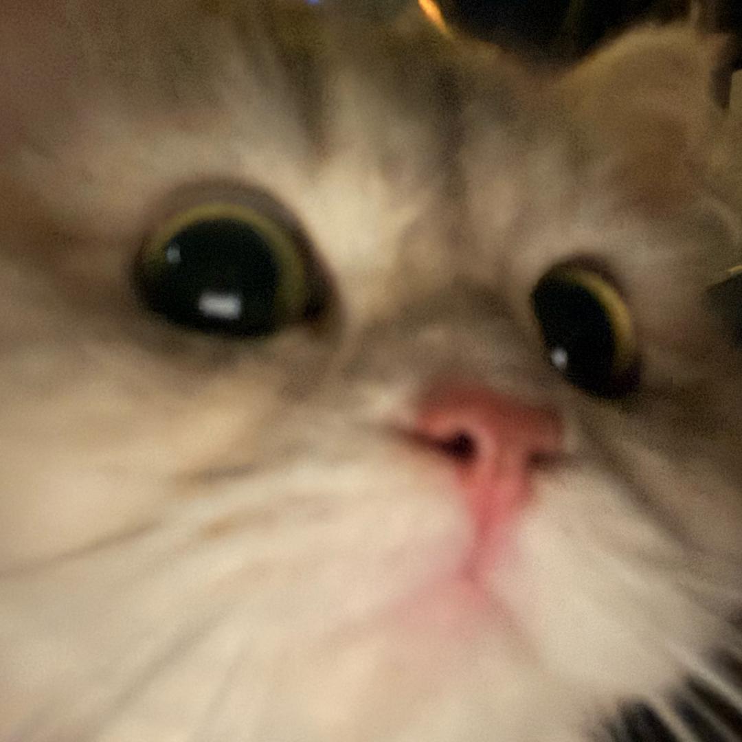 |｡･㉨･)っ♡