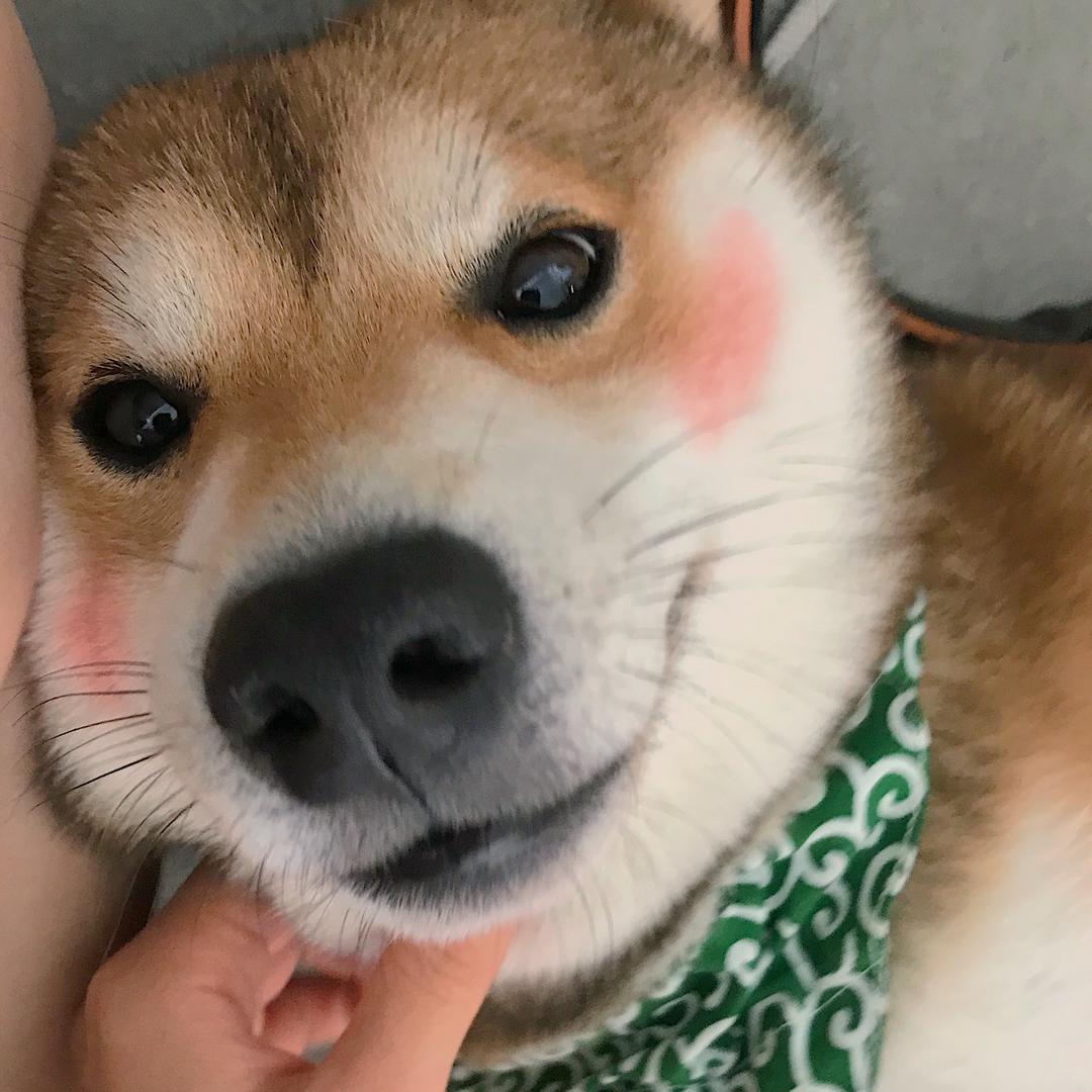 麻雀
