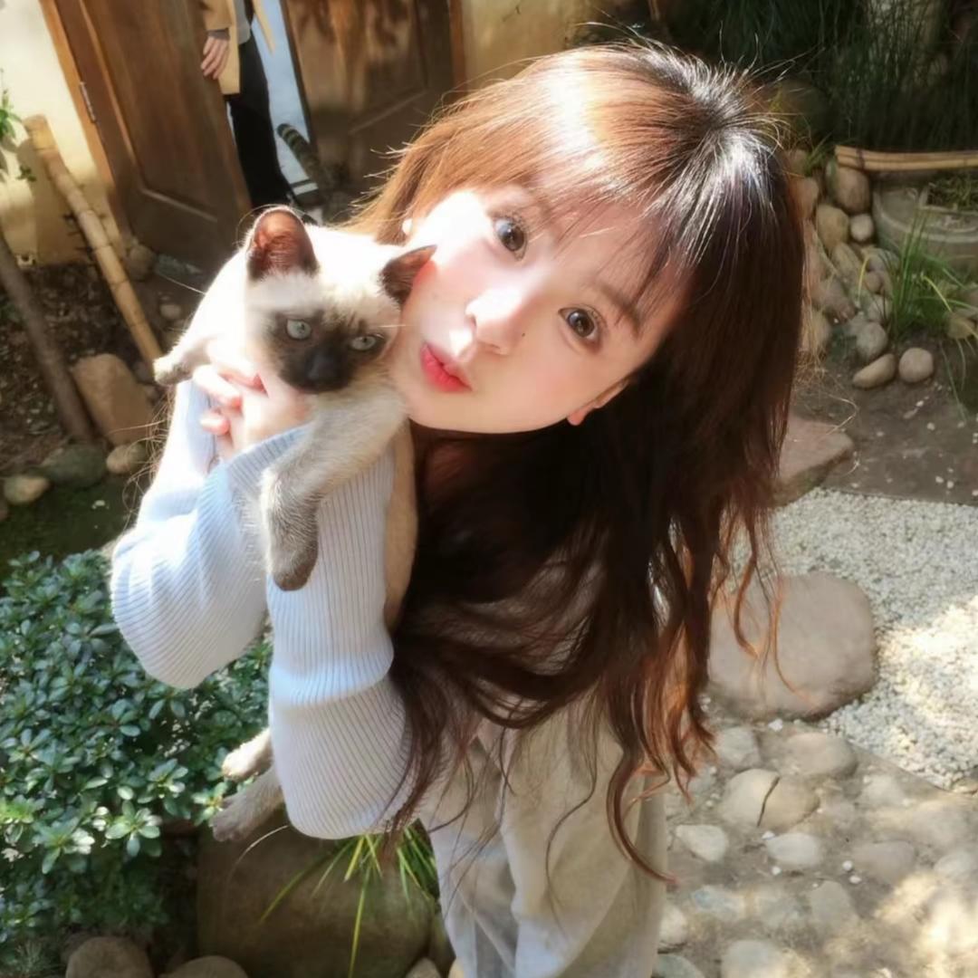 小猪头焖子