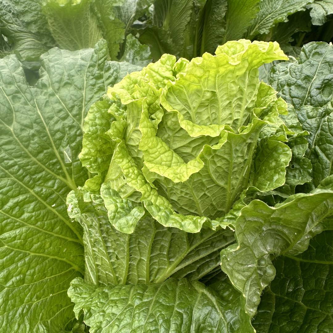 贵遵进晖农产品