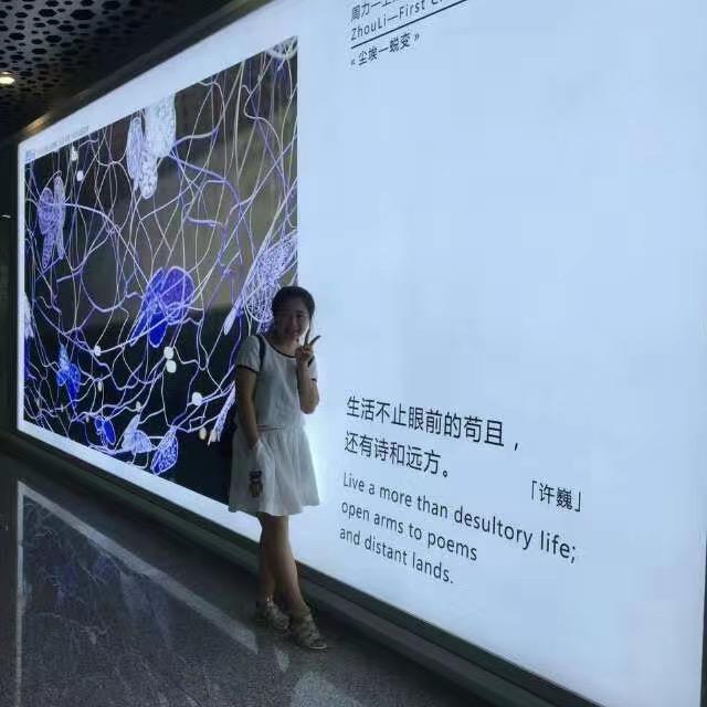 小脑代瓜子
