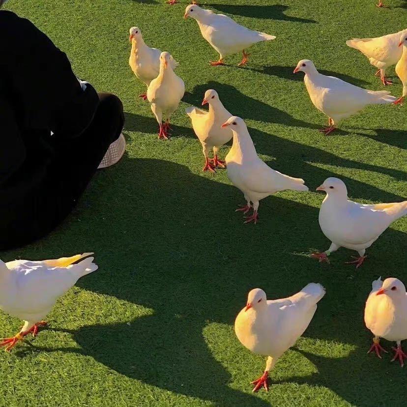 识趣