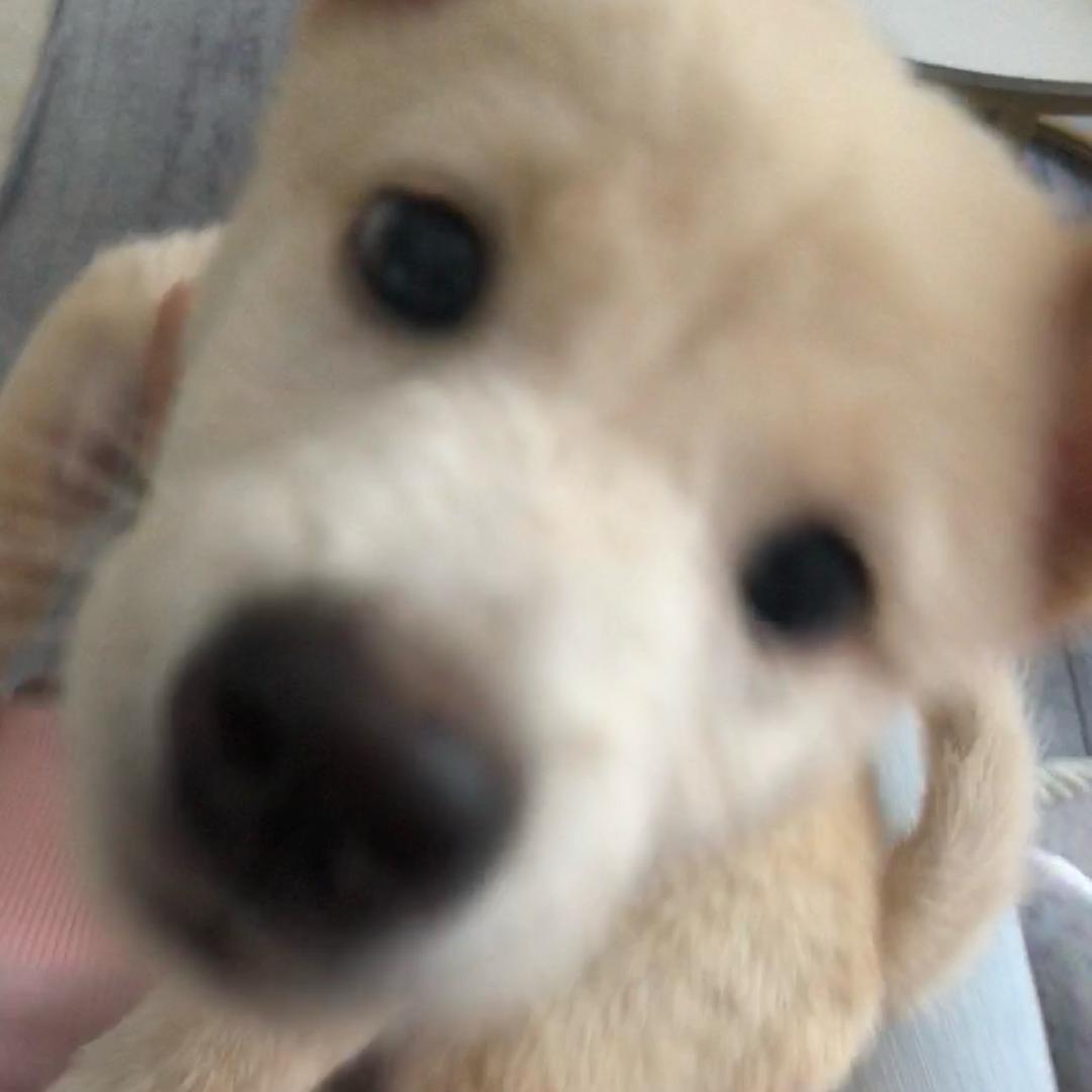 柃