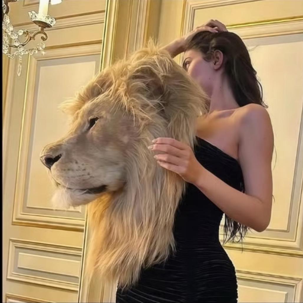 皇帝