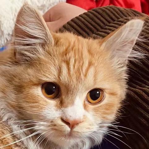 清风|流量卡推荐🌟