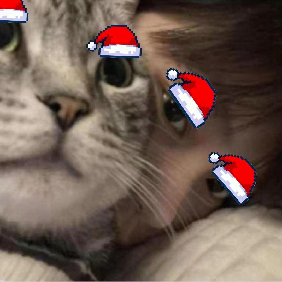 𝐿𝑜𝑛𝑒𝑙𝑦