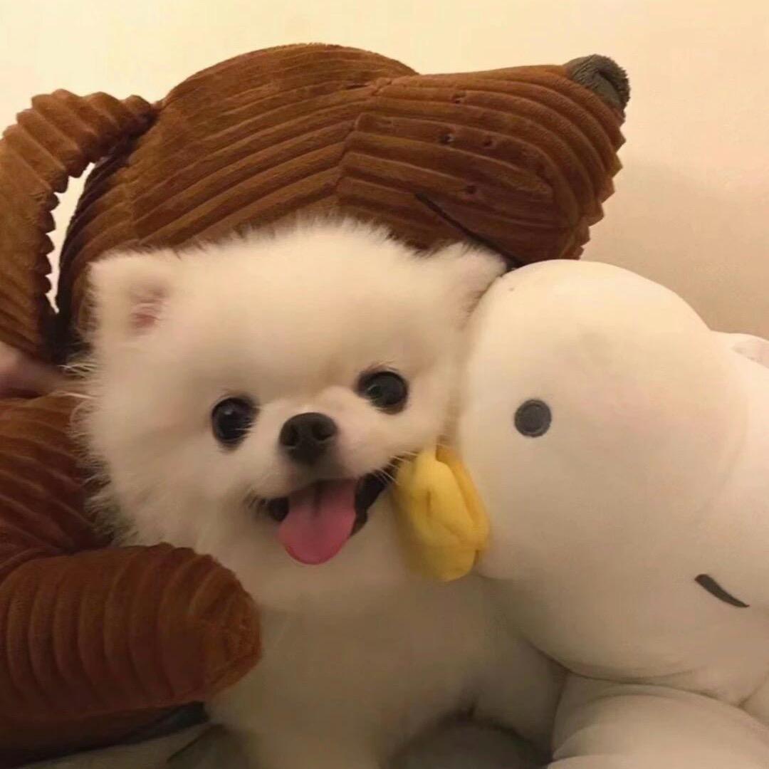 啊呜OwO