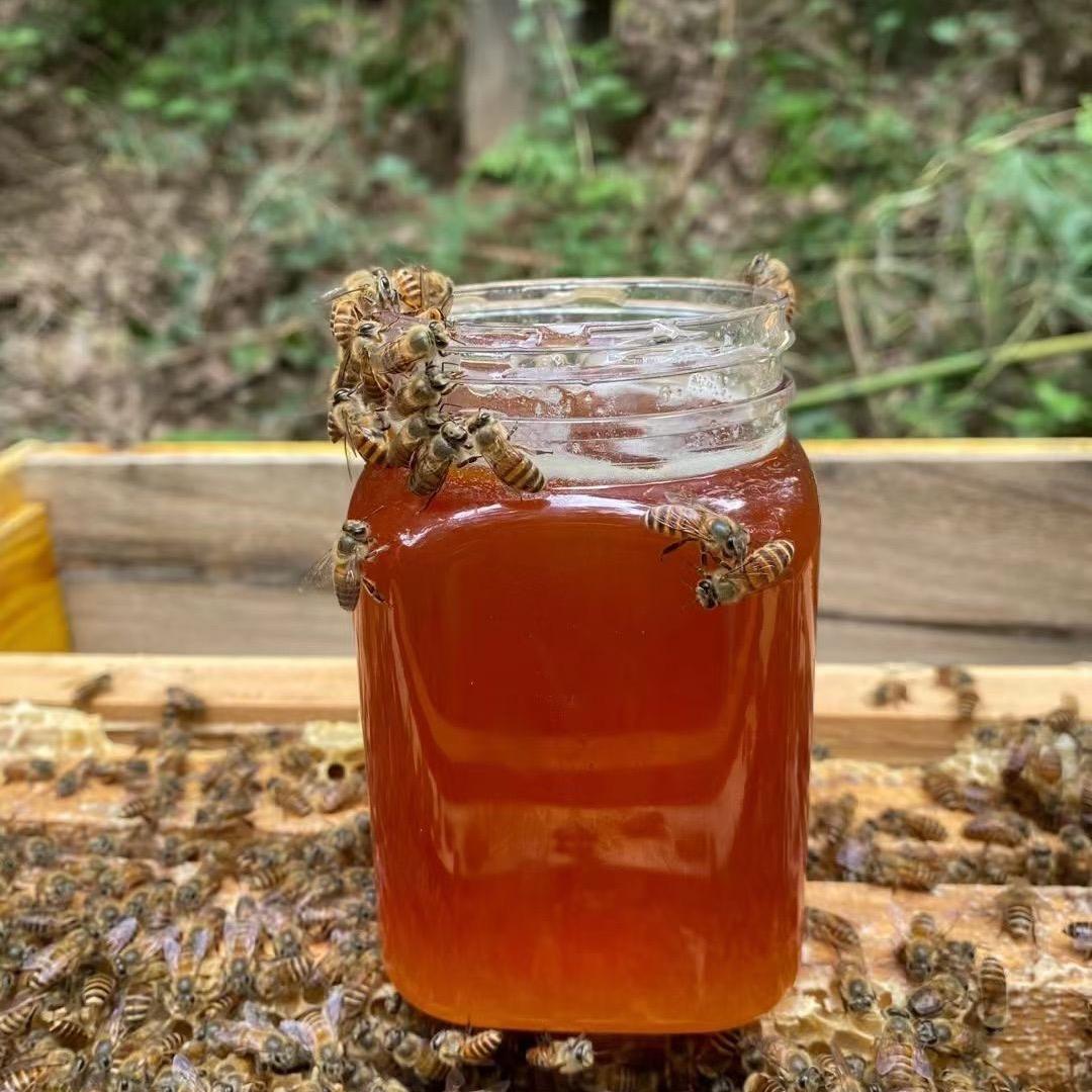 新农人返乡兵哥