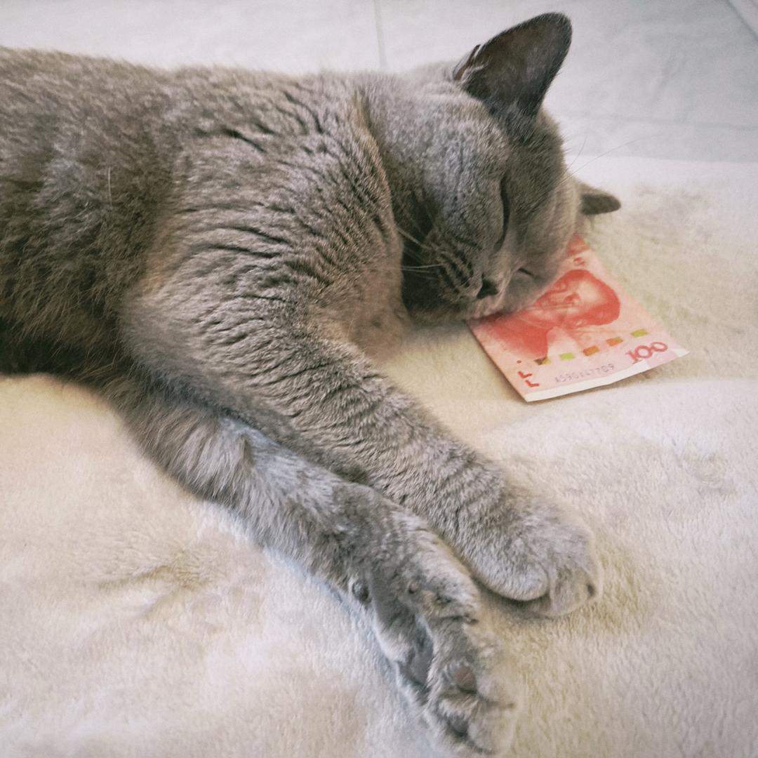 杨闪闪今天瘦了吗