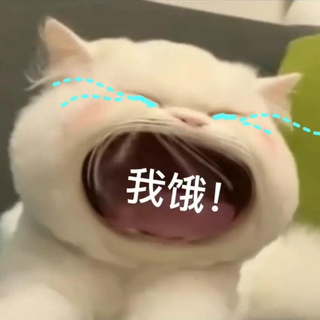 野.
