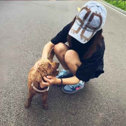 名字很长总有傻子跟着念