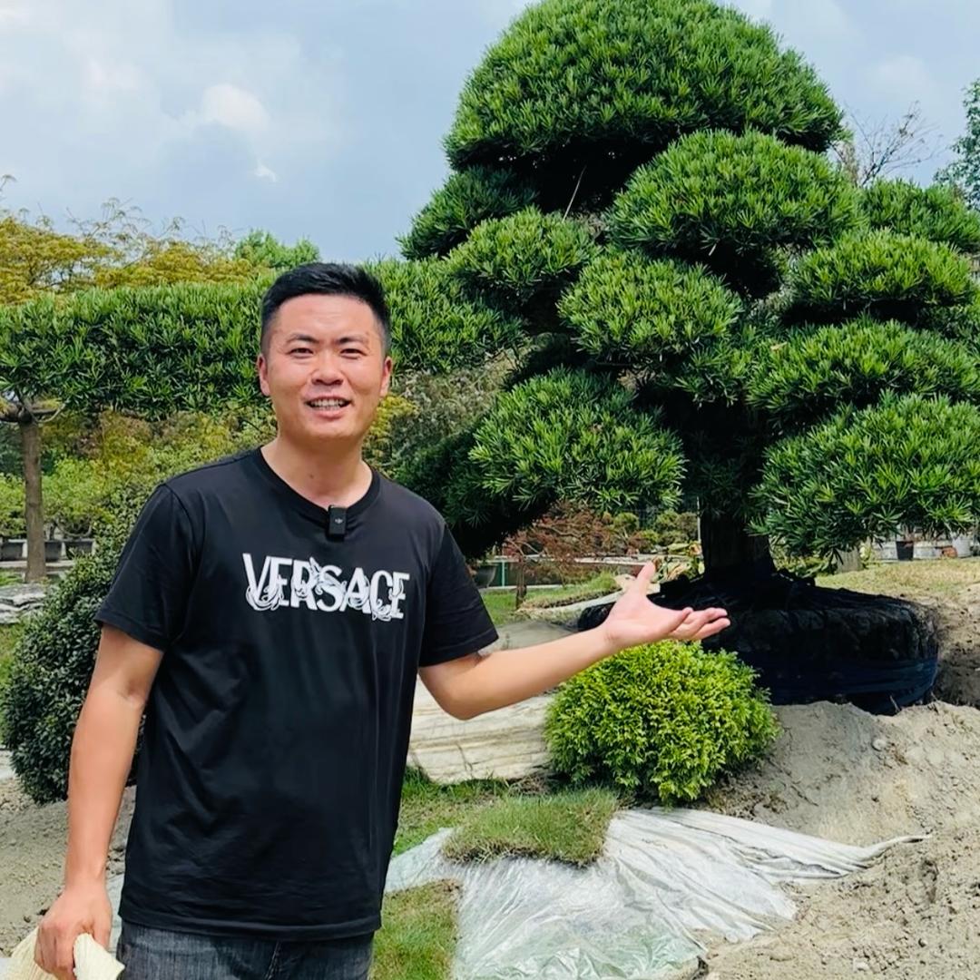袁航园林供应链