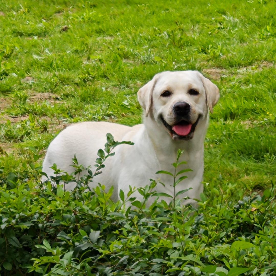 暖宝🐶