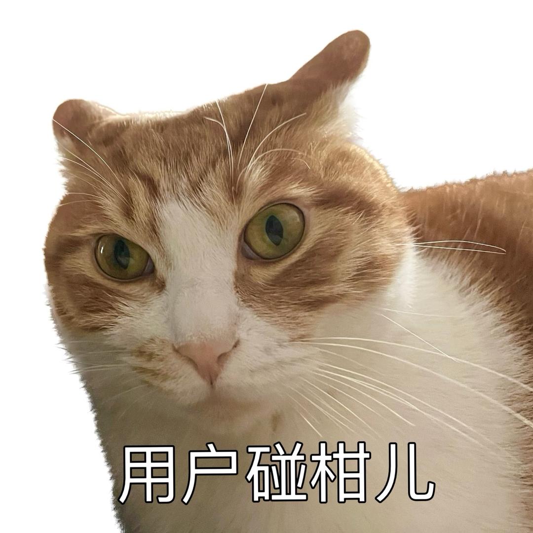 碰柑儿🍊本柑儿
