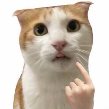野生皮特