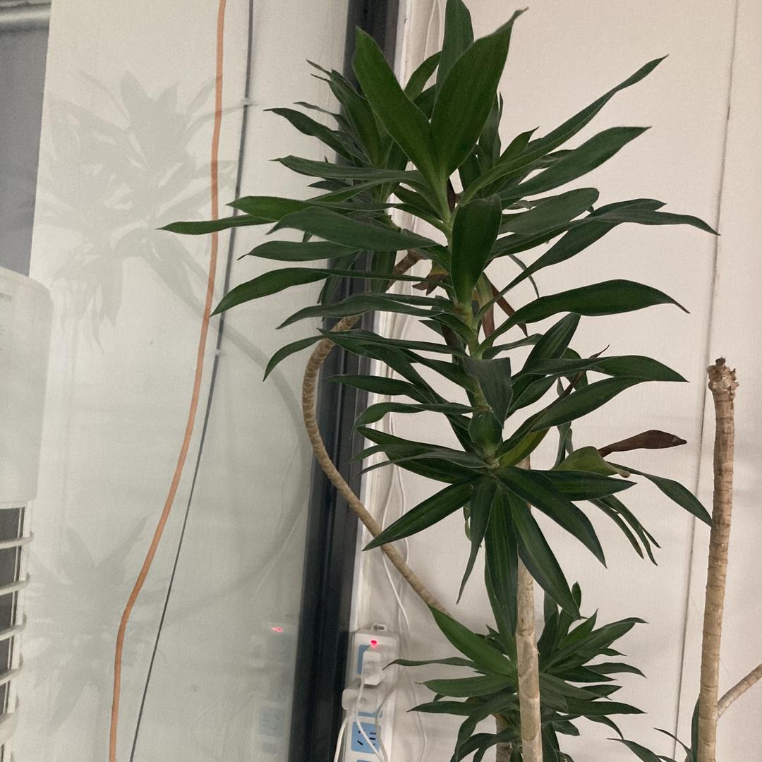 天源日用品经营部