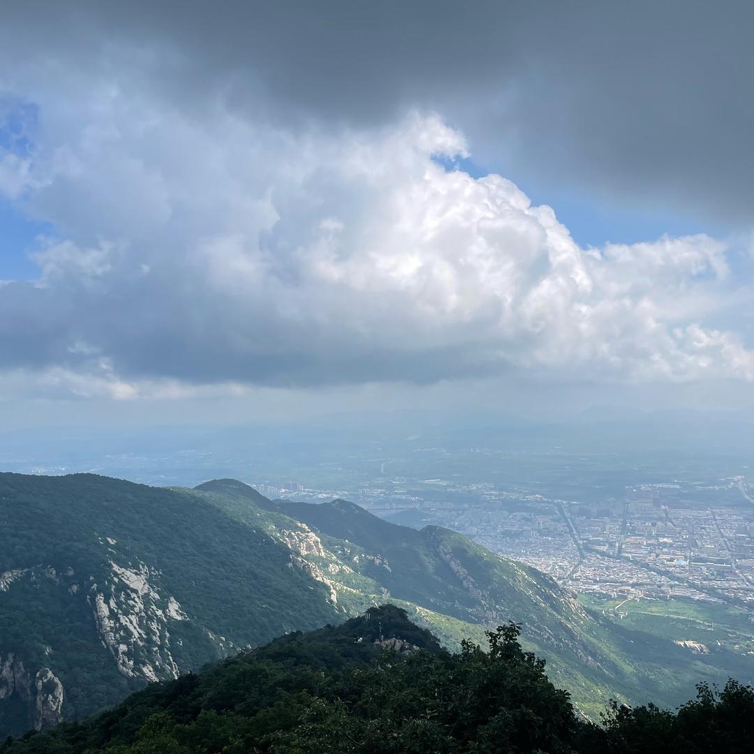 黑土
