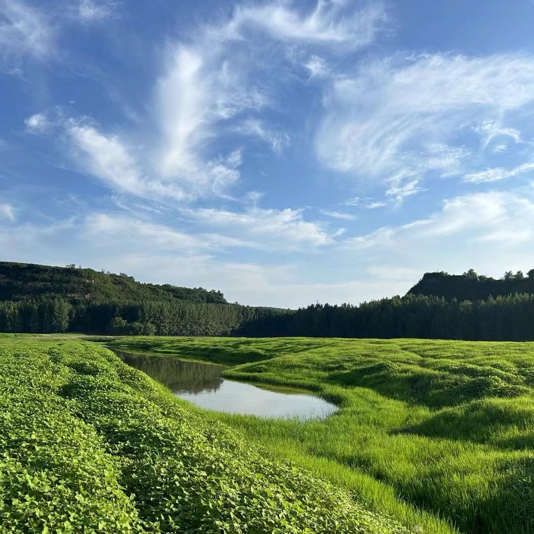 ꒰ •ॢ㞮孞ॢ&