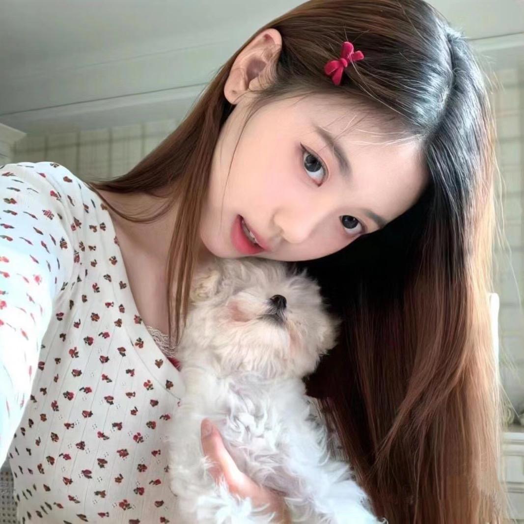 不关我事阳阳酱🐑
