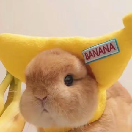 🥥:-)